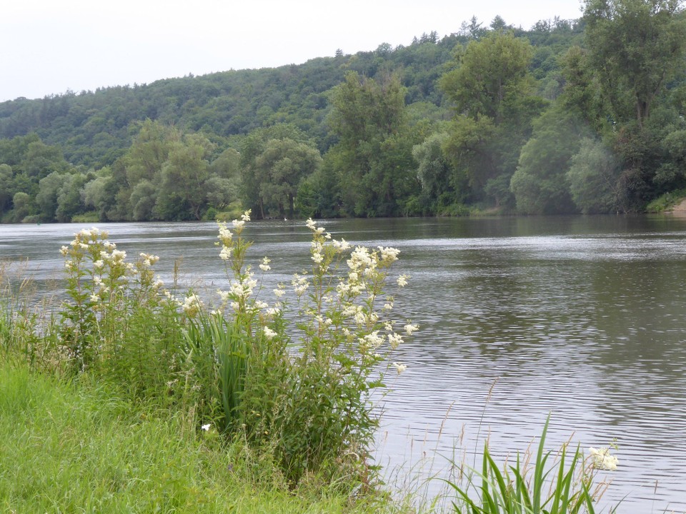 Tschechien - Prag - Noch mal hübsch und dann kam, nach heute nur gut 50 km, Prag immer näher.