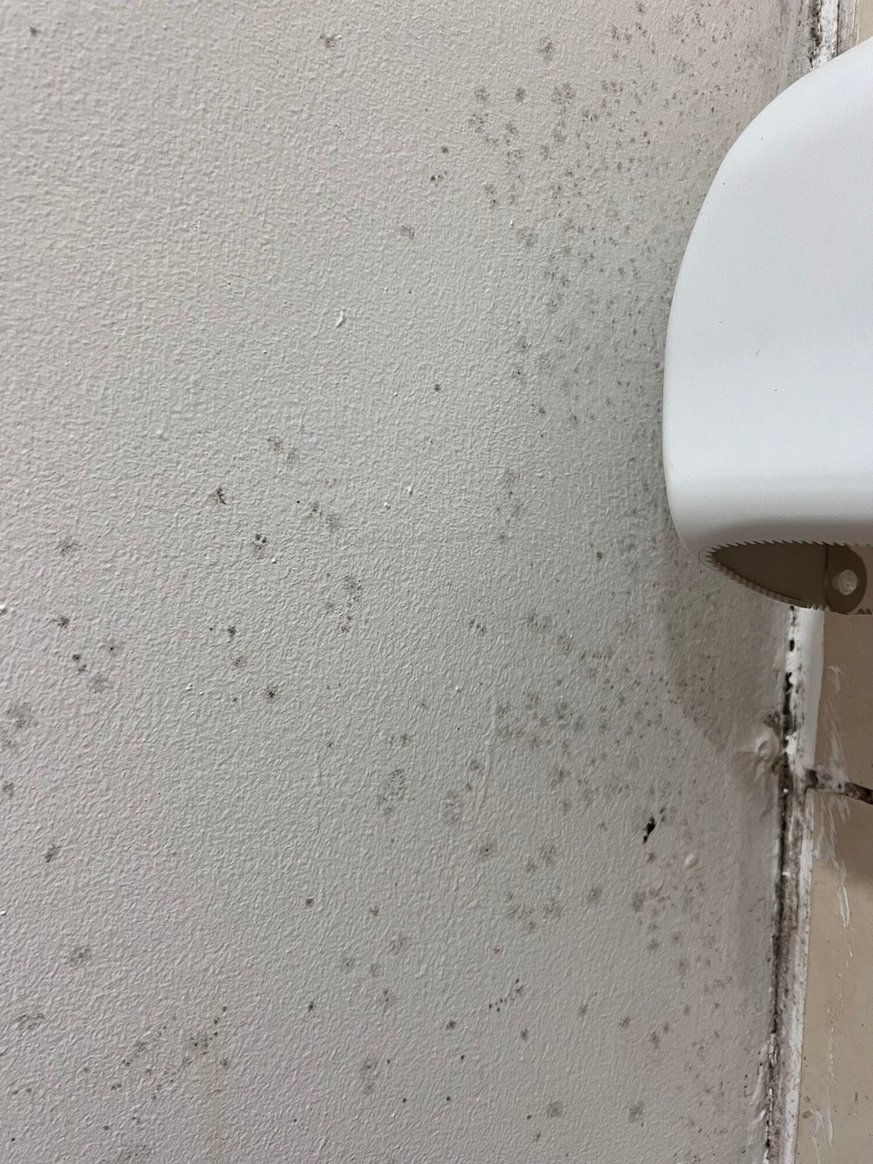 Costa Rica - Puntarenas - Am Samstig bini mit zwei Kolleginne us de Usa uf Puntarenas. Im Hotelzimmer het‘s aber ÜBERALL Schimmel gha, also würklich sogar uf de Fernbedienig. Und es het sooo grusig gstunke i dem Zimmer