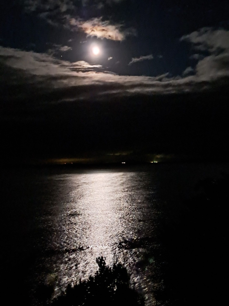 Neuseeland - Stewart Island - 