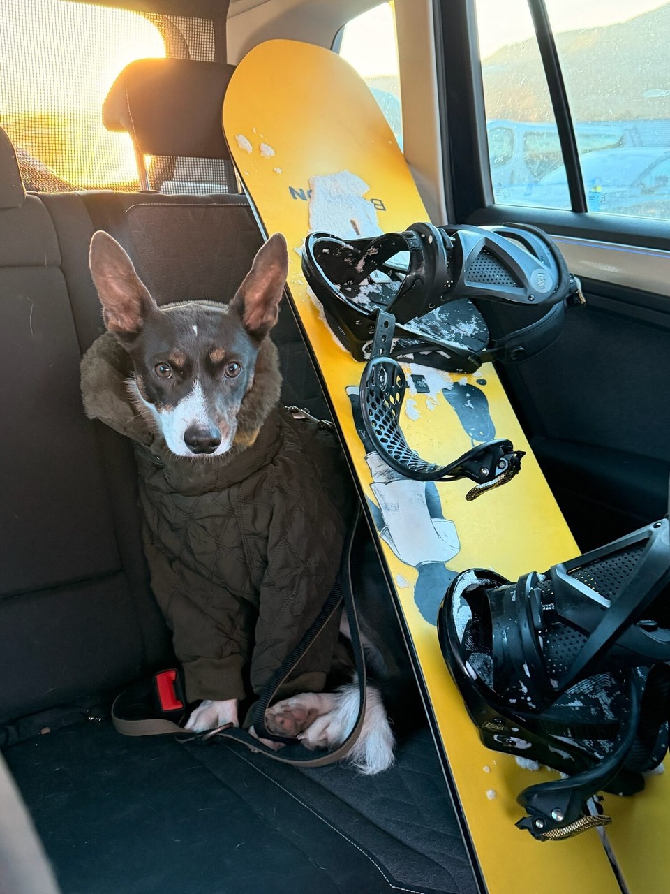 Norwegen - Øyer - Wir sind noch nicht sicher, ob Frida Schnee mag?!