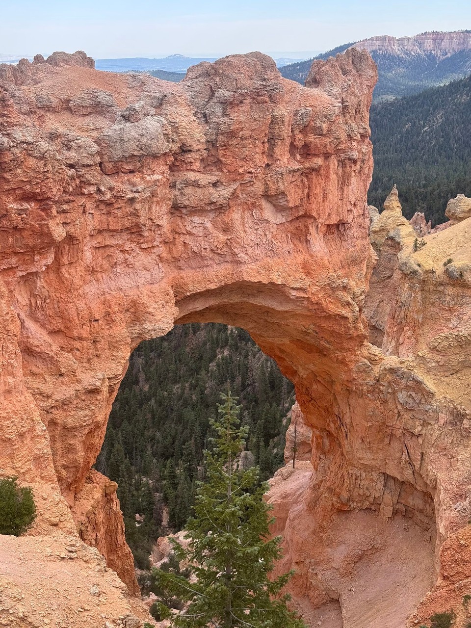 Vereinigte Staaten - Bryce Canyon - Spöter simmer denn nomol metem Auto los und zu de natural bridge gfahre. Das esch es riese Loch im ne Fels vom Canyon. Das esch sehr ihdrücklich gsi.☺️