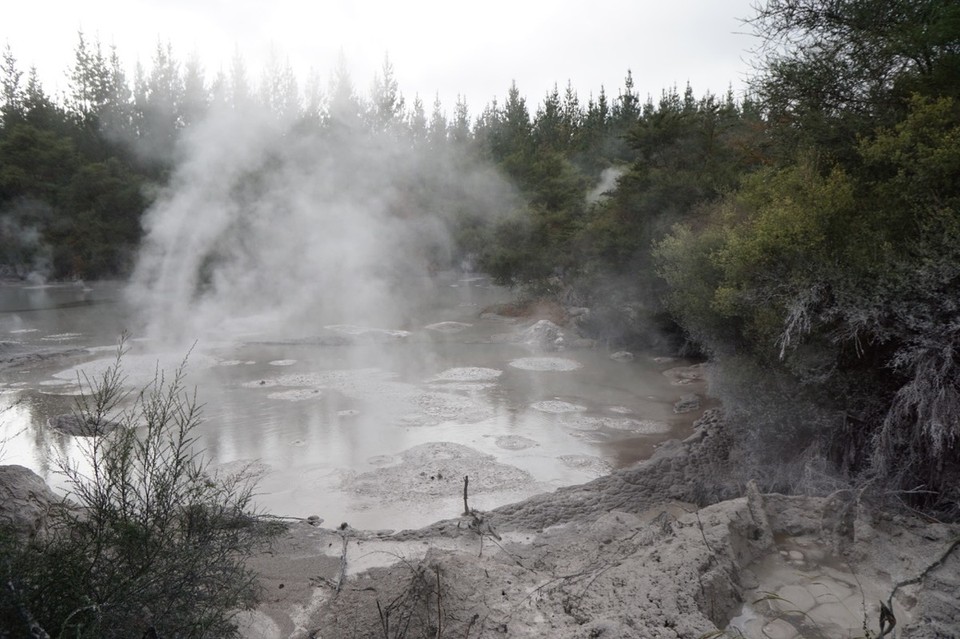 Neuseeland - Hamurana - 