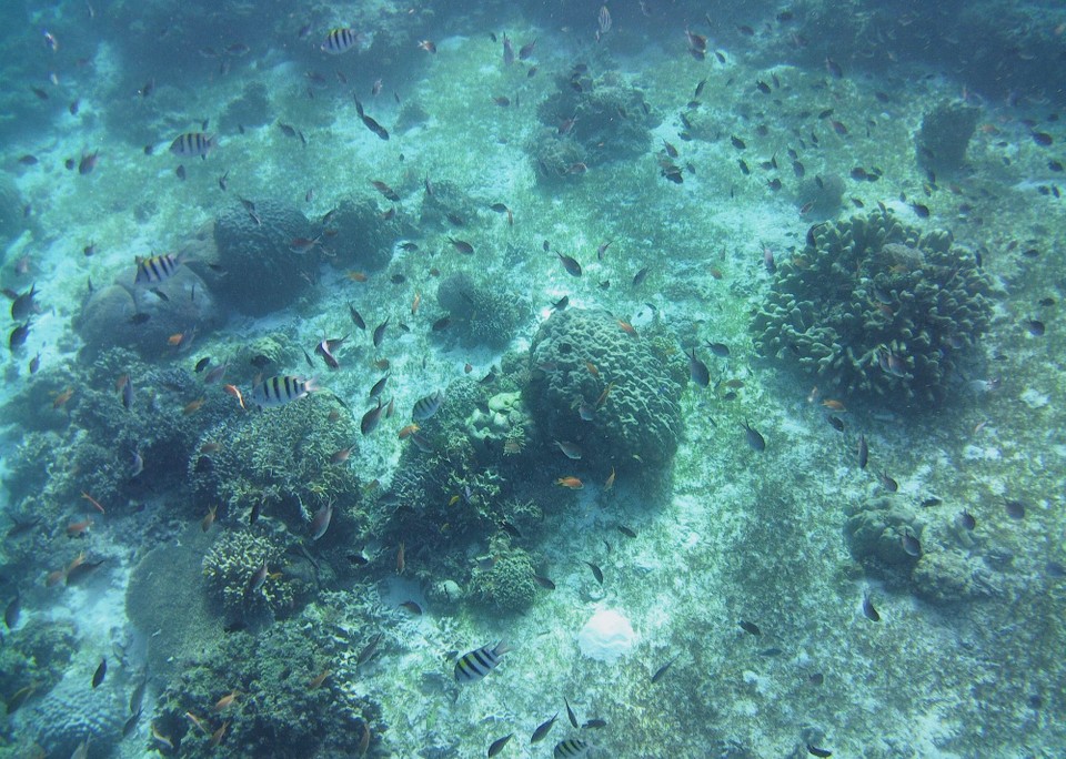 Philippinen - Panglao - 