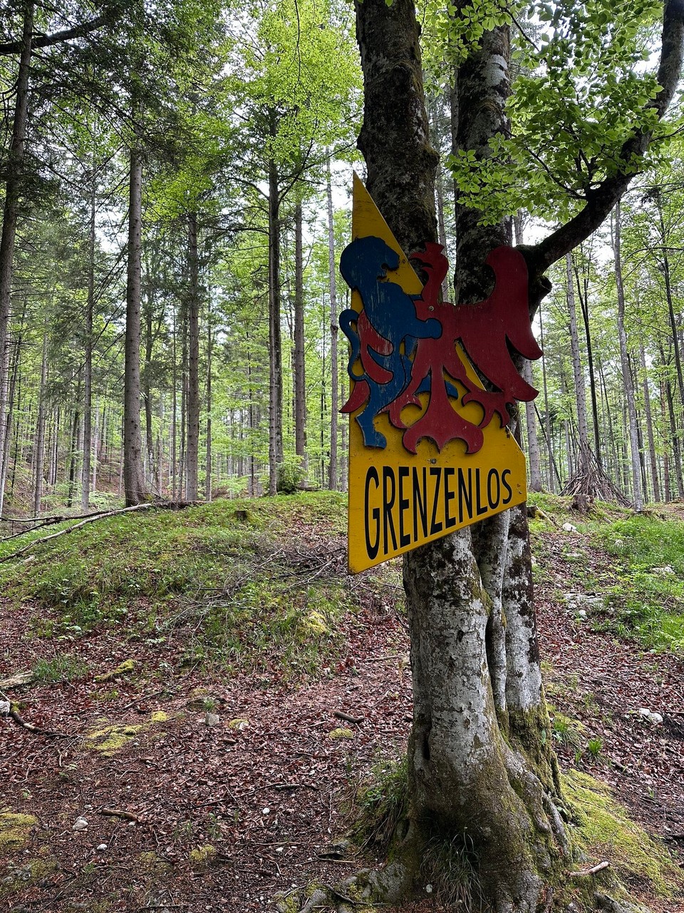 Österreich - Leutasch - 