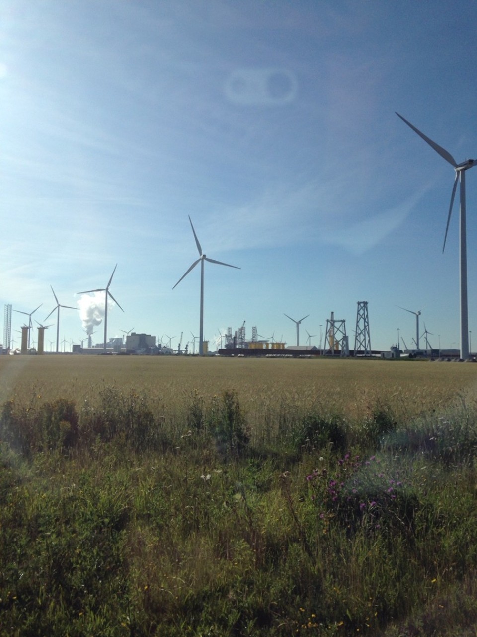 Niederlande - Eemshaven - windparks all over here