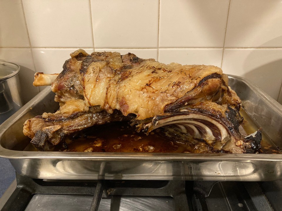 Neuseeland - Ward - Lamm vom Nachbarn 😀