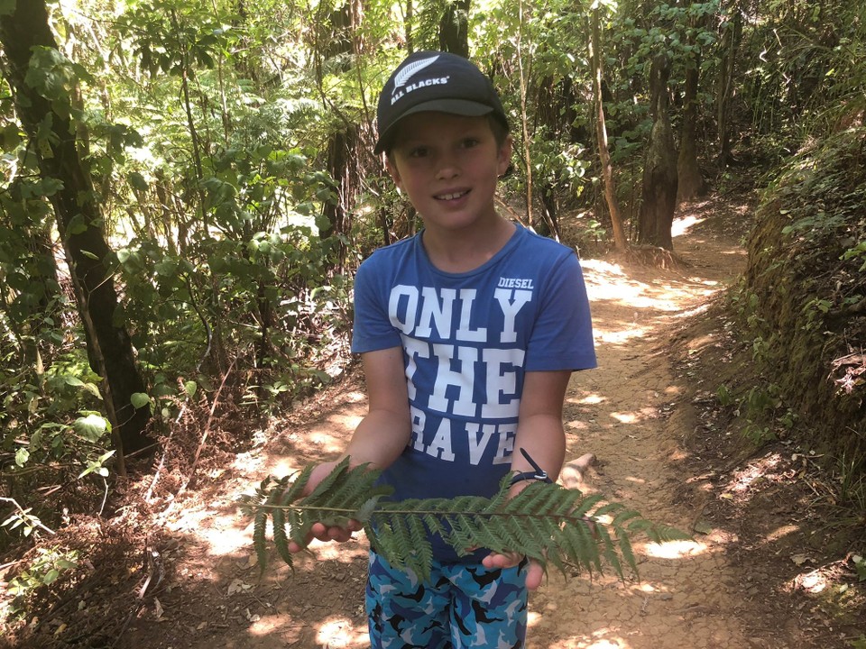 Neuseeland - Waihi Beach - Auch Jan liebt die Farne. 
