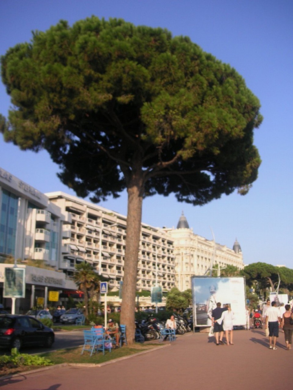 Frankreich - Cannes - Bd. Croisette 