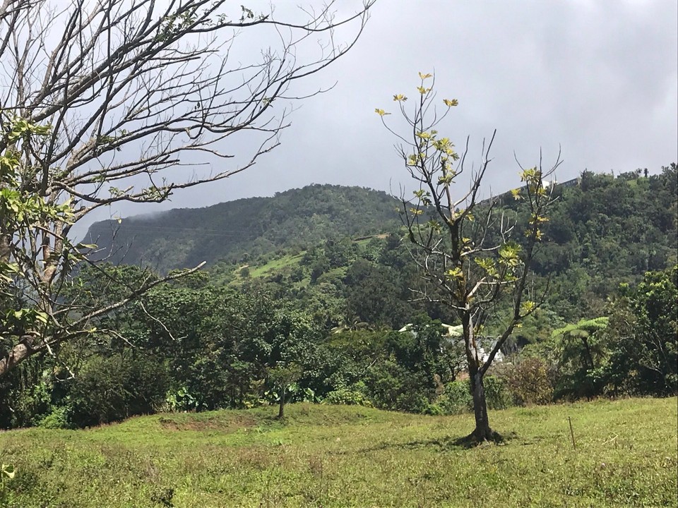 Guadeloupe -  - 