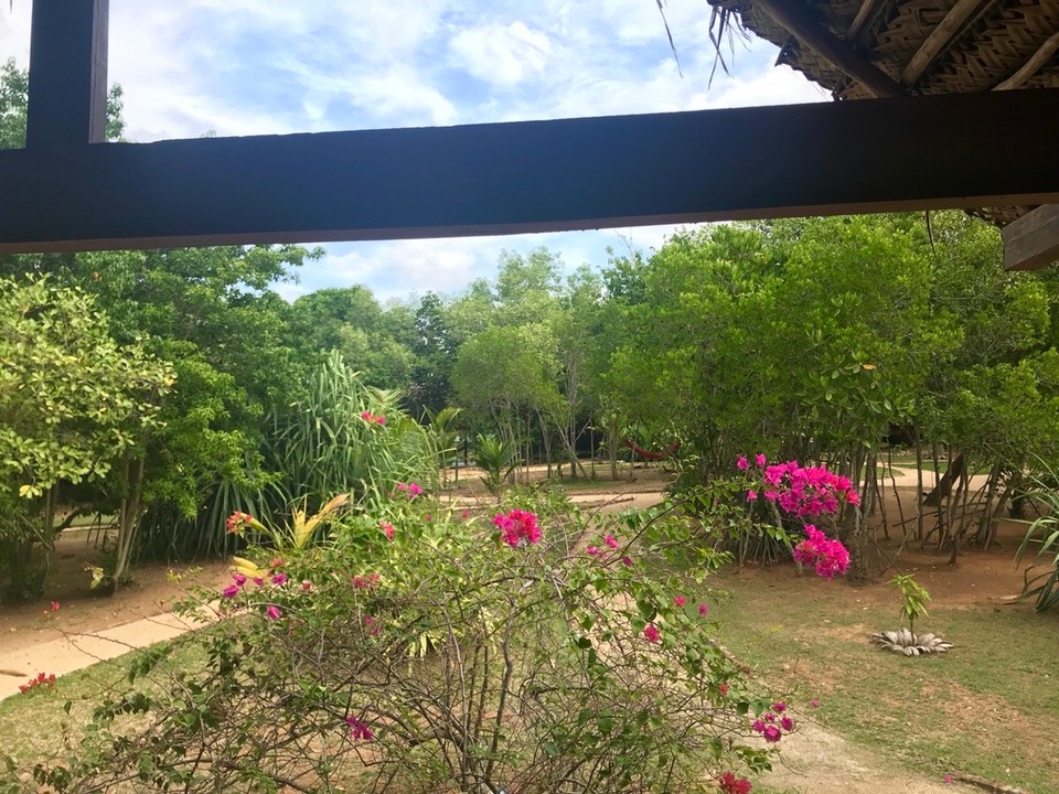 Sri Lanka -  - Blick von der Hütte 