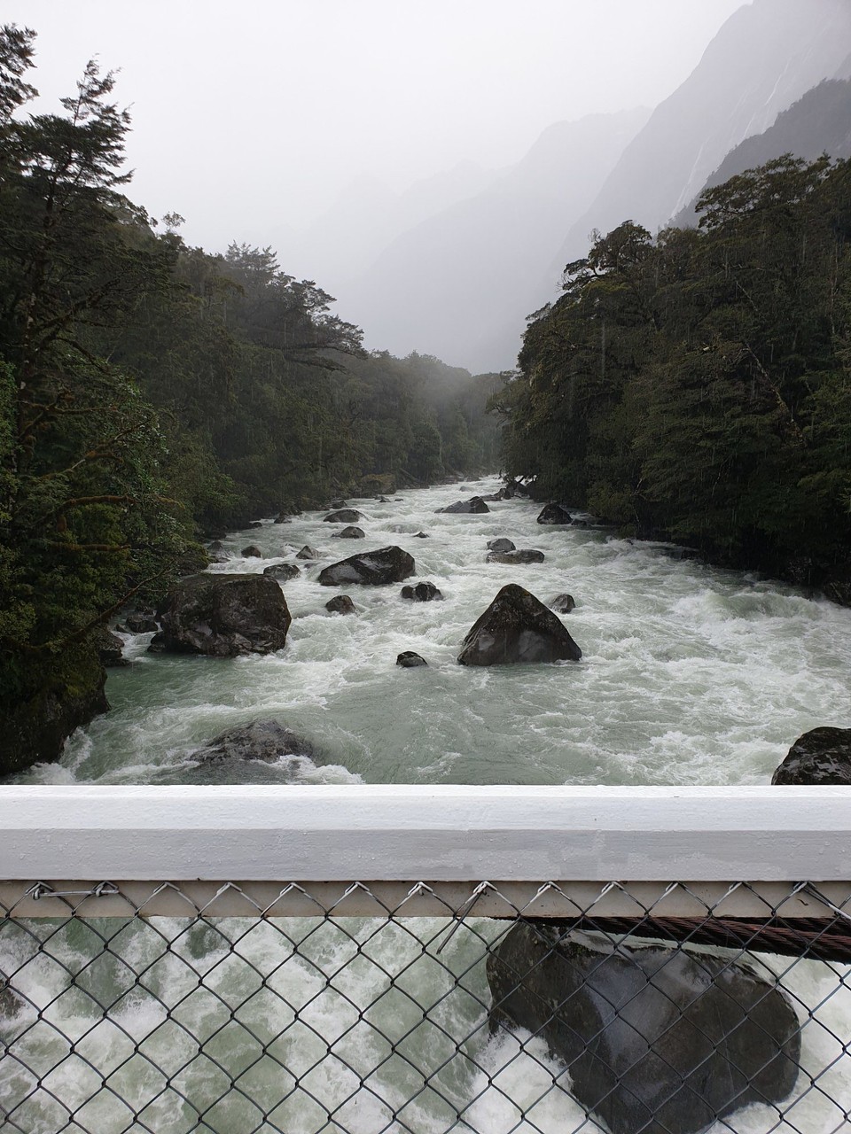 Neuseeland - Te Anau - 