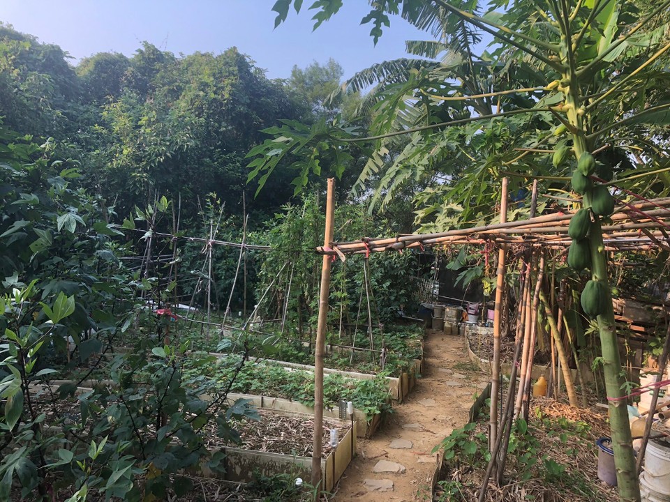 Taiwan - Zhongzheng District - 