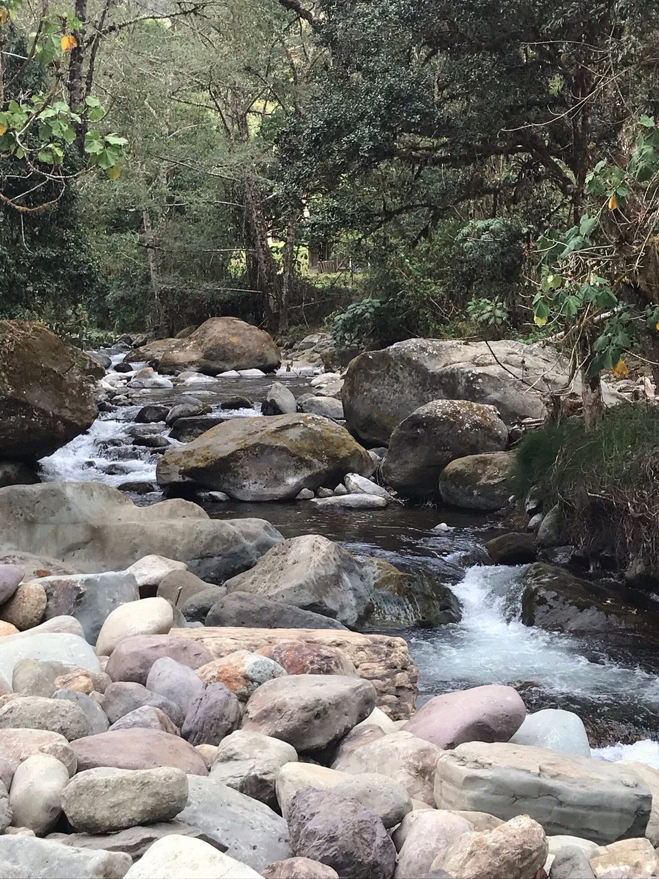 Costa Rica - Aguirre - 