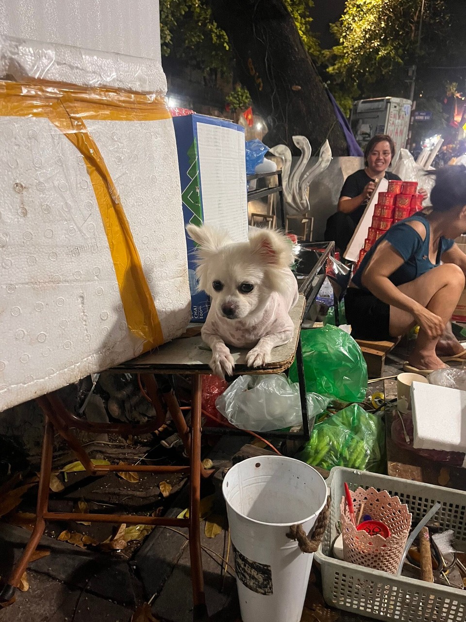 Vietnam - Hanoi - 