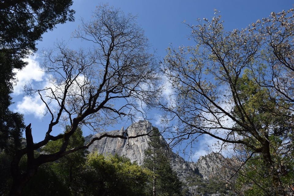 USA - Yosemite-Nationalpark - 