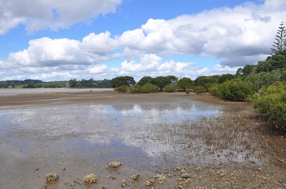 Neuseeland - Mangonui - 
