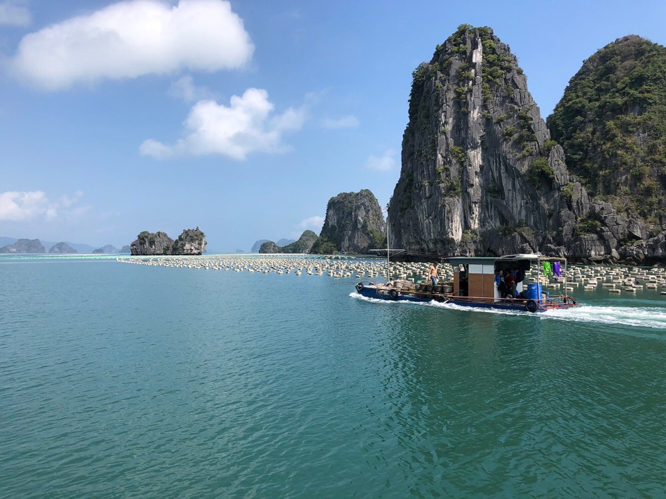 Vietnam - unbekannt - 