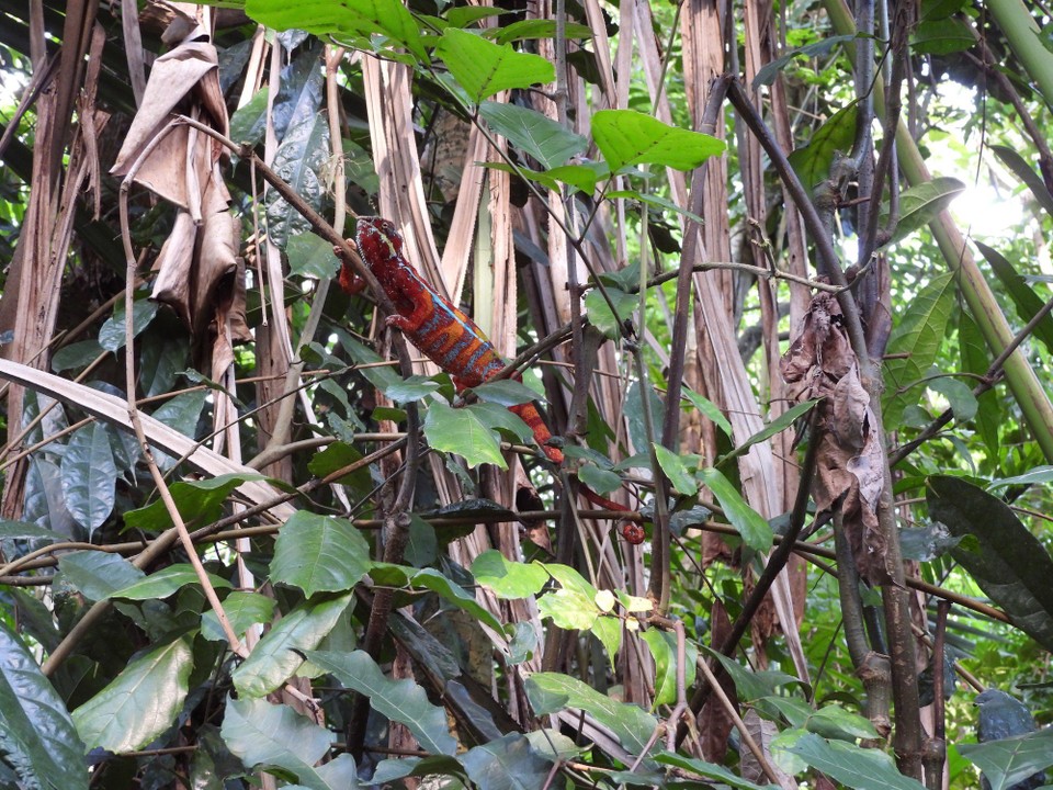 Schweiz - Zürich - Kommt alle her mit euren Fotoapparaten