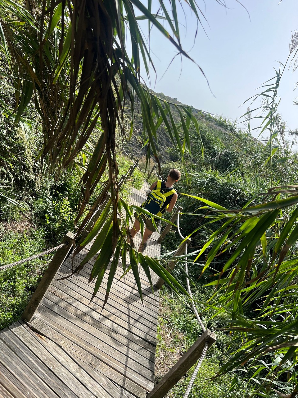Portugal - São Teotónio - 