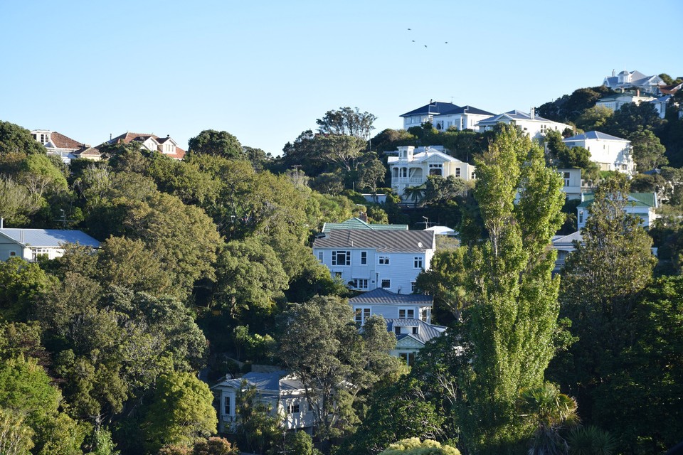 Neuseeland - Wellington - Eine wirkliche hügelige Stadt!