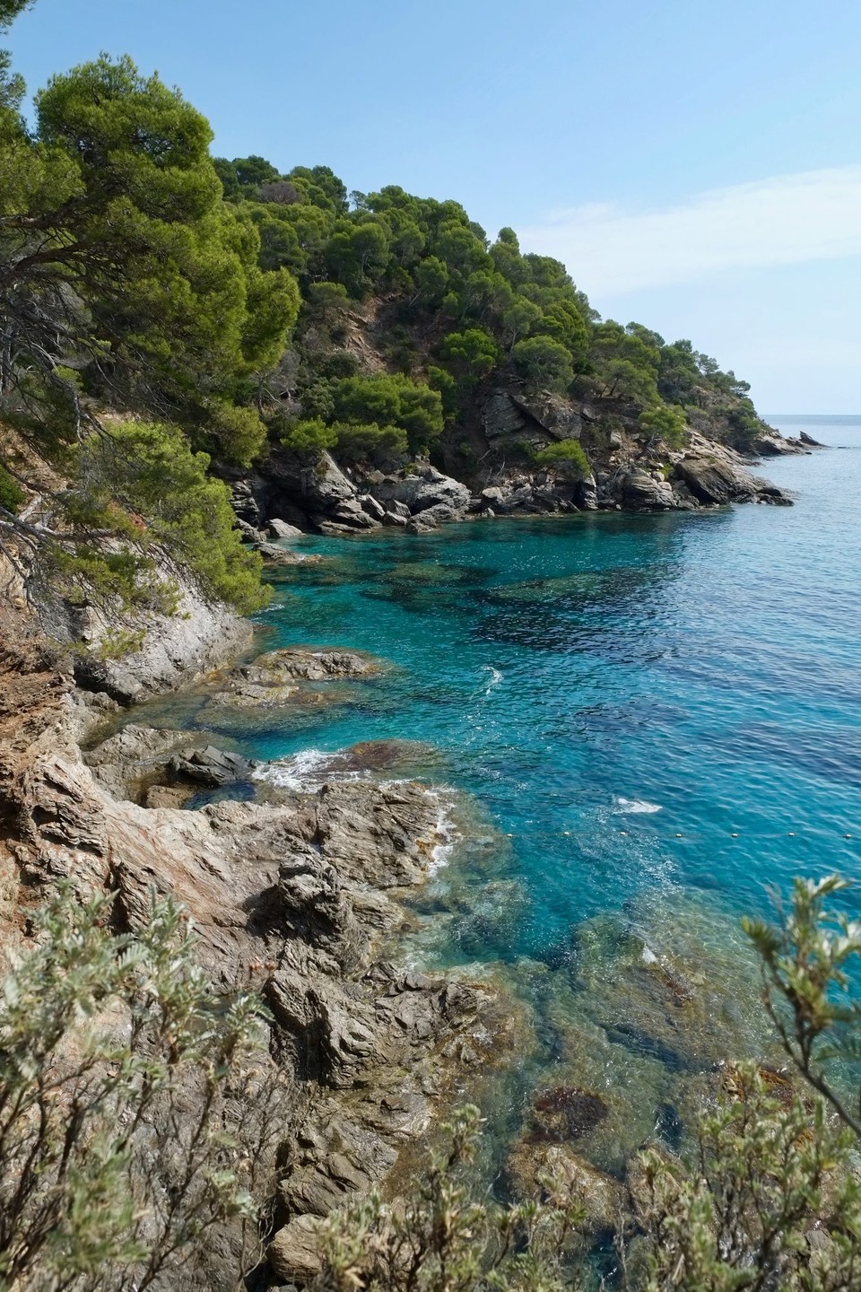 Frankreich - Rayol-Canadel-sur-Mer - 