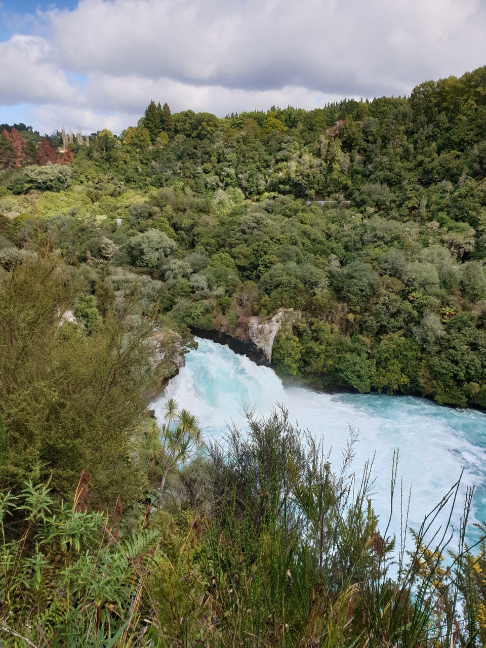 Neuseeland - Taupo - 