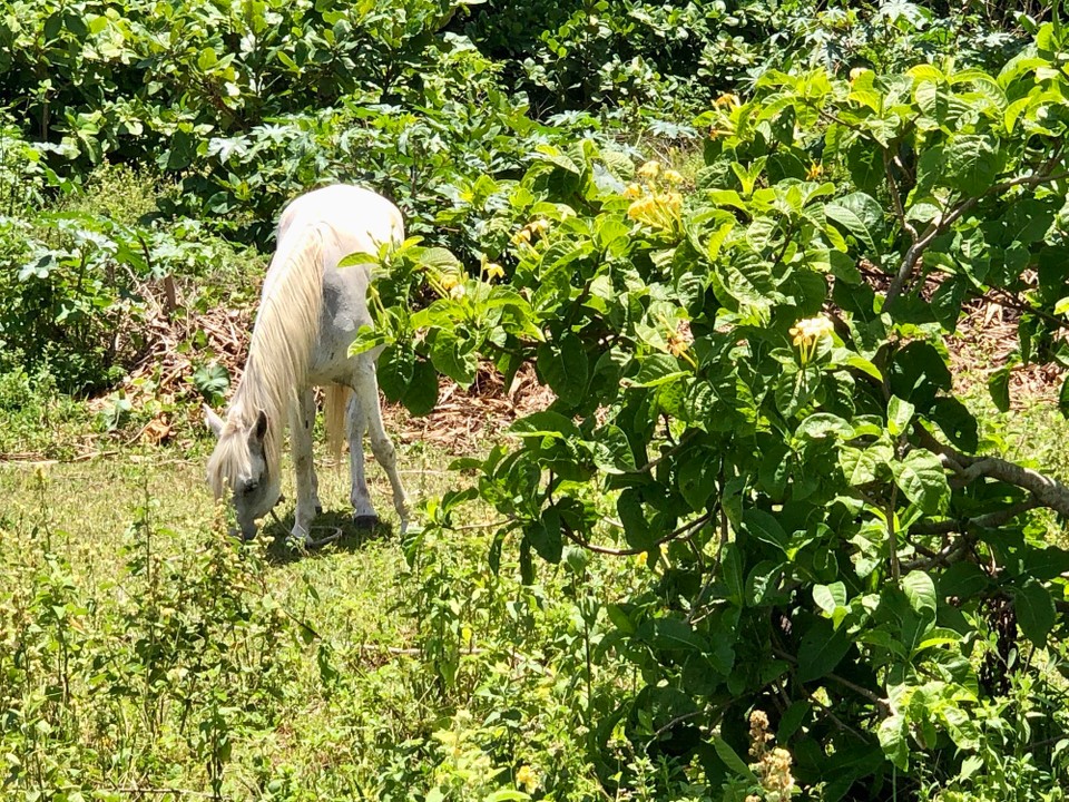 Brasilien - Governador Valadares - 