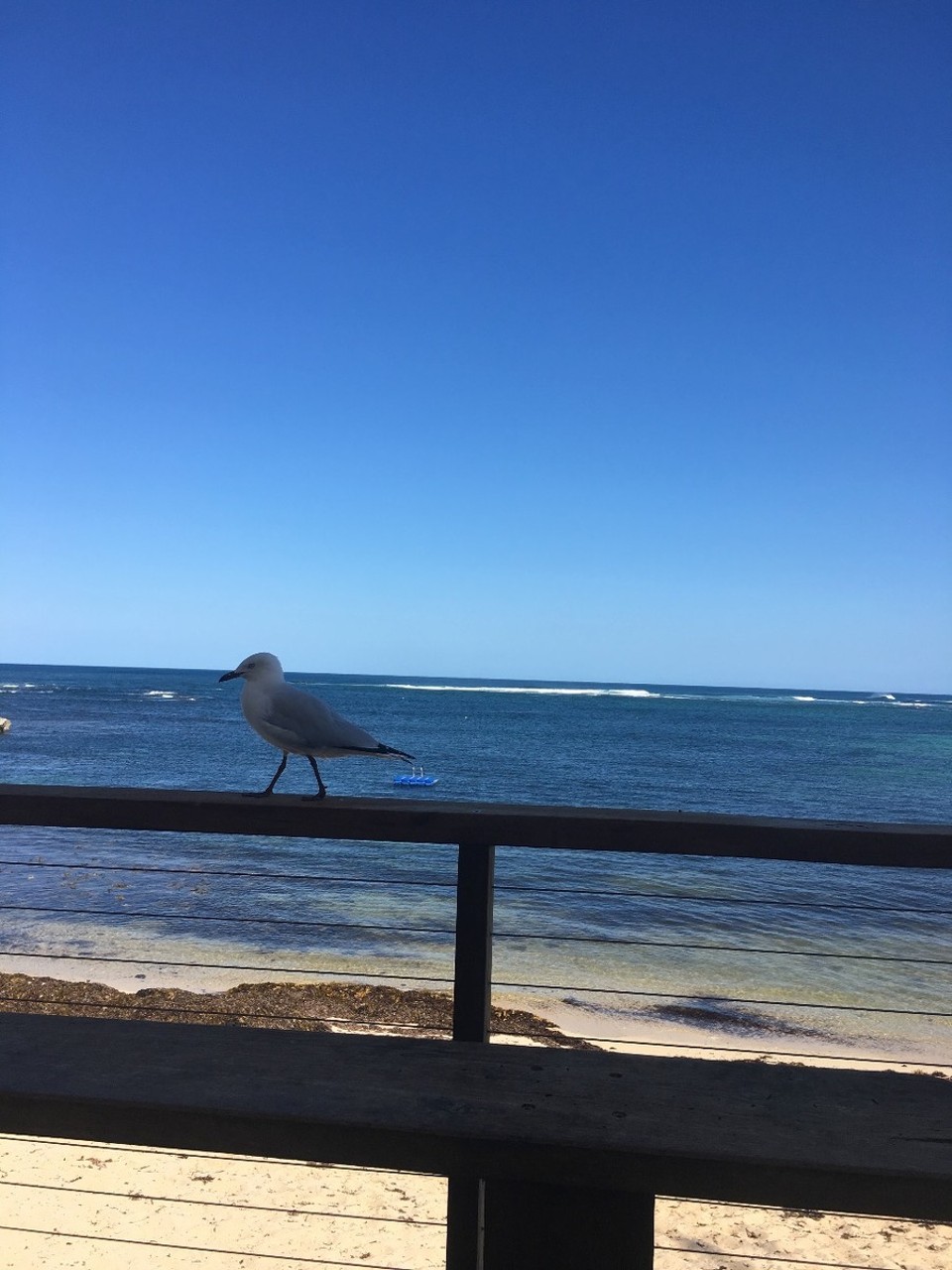 Australien - Albany City - Verzieh dich!