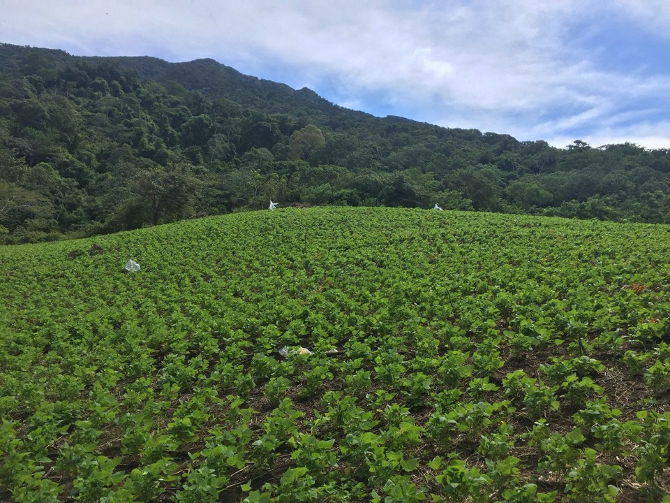 Nicaragua - Altagracia - 