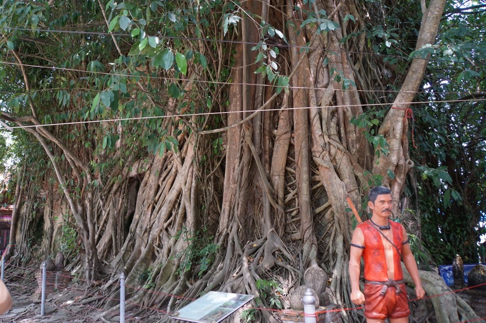 Thailand - Bangkok - 