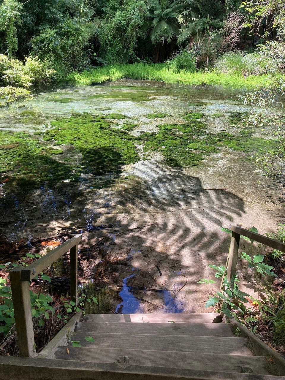 Neuseeland - Hamurana - 