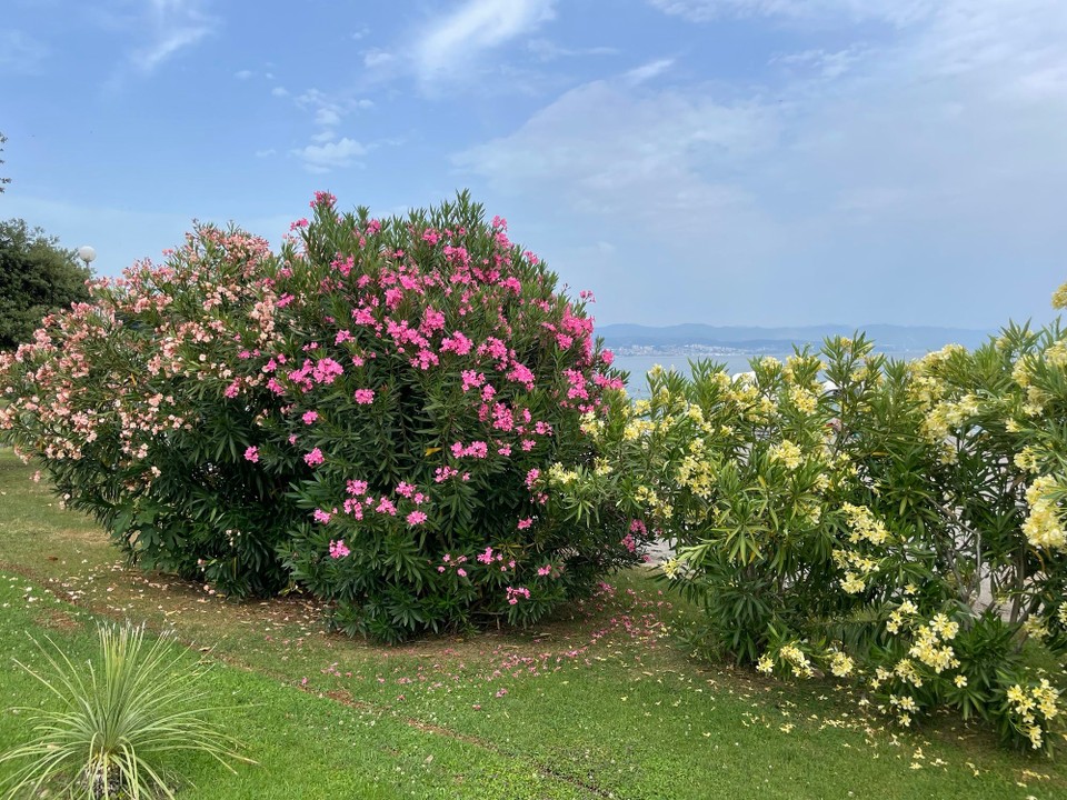 Kroatien - Opatija - 