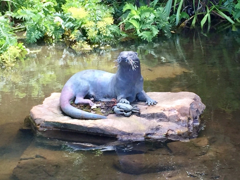 Südafrika - Cape Town - Kirstenbosch 
