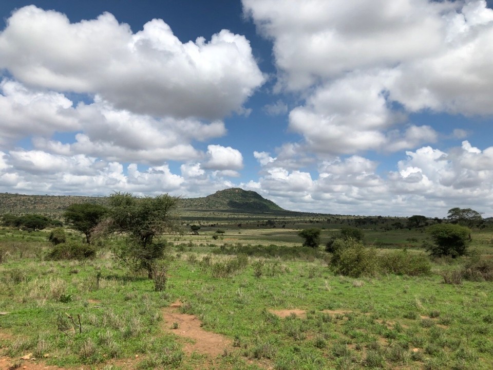 Kenia - Taita - 