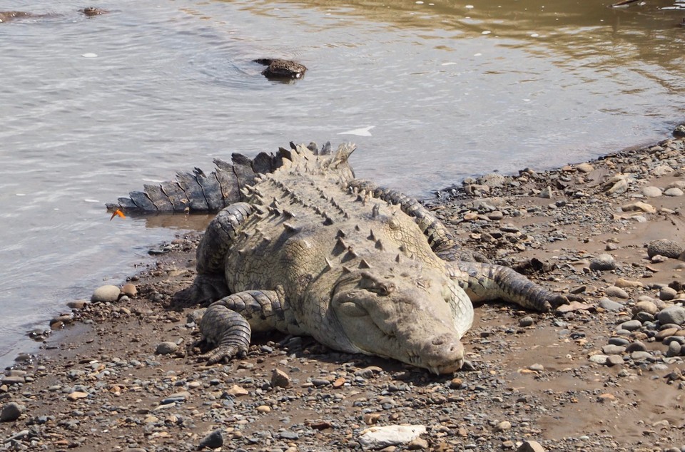 Costa Rica - La Fortuna - 