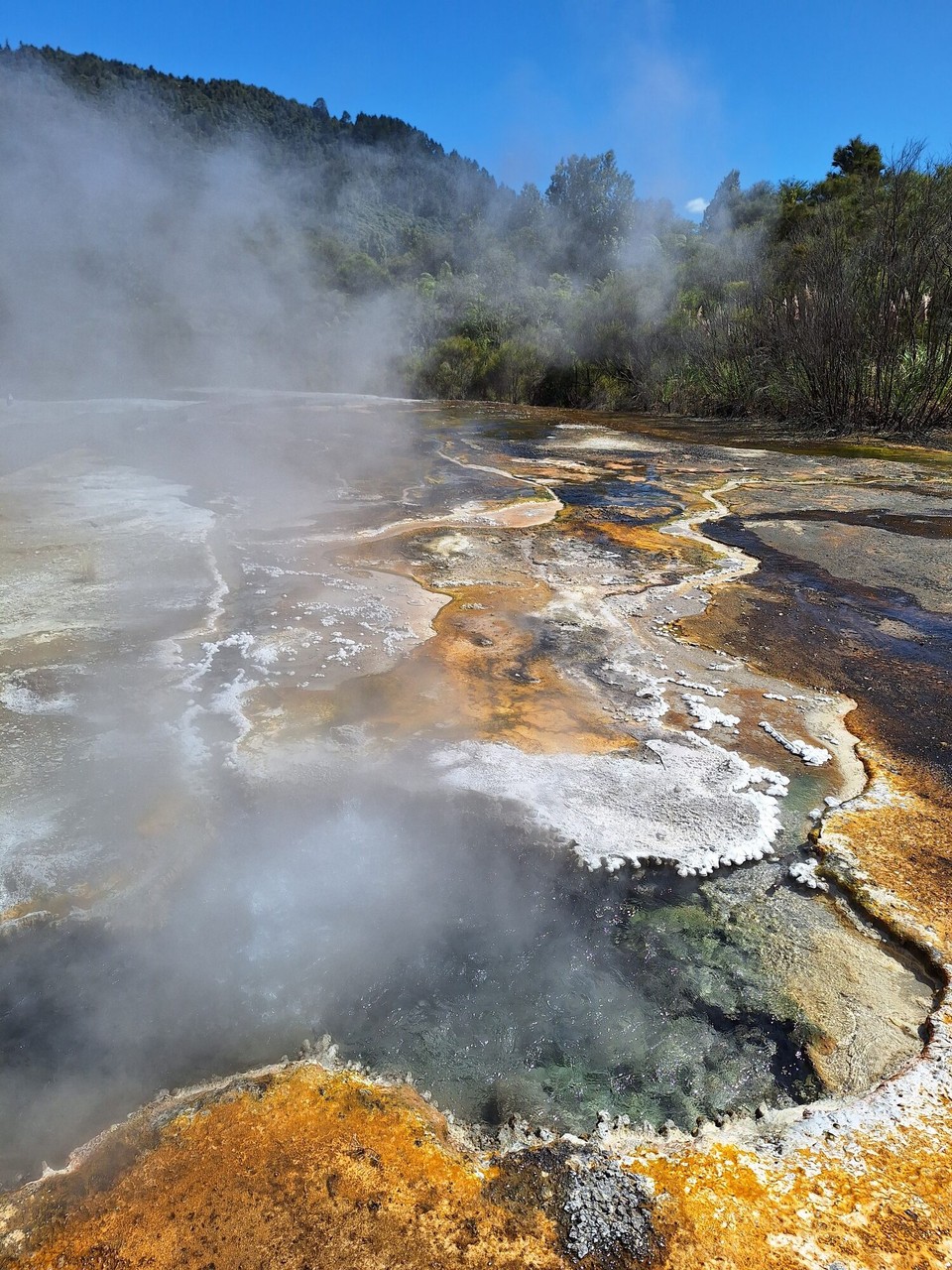 Neuseeland - Turangi - Die coolsten Naturfarben
