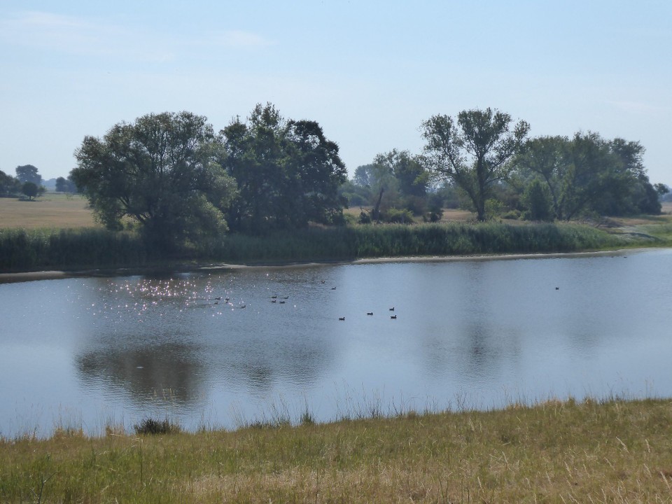 Deutschland - Magdeburg - Und dann ging es mit Vormittagsglitzer gemütlich voran. Ein weiterer Tag mit meinem Bruder und wir wussten, dass es heiß werden würde. Ebenso wussten wir, dass es gut 70 km werden würden. Das Tempo von gestern konnten und wollten wir also nicht erreichen.