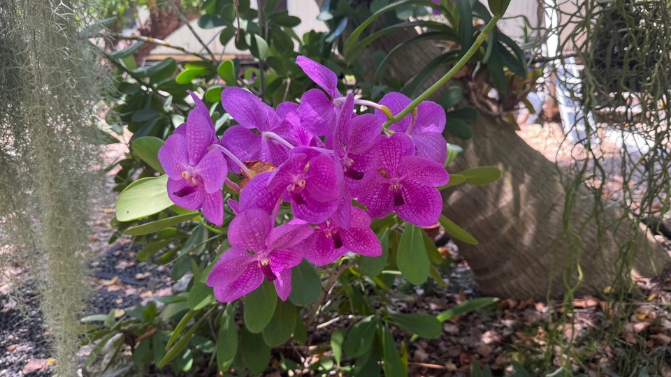 Vereinigte Staaten - Islamorada - 