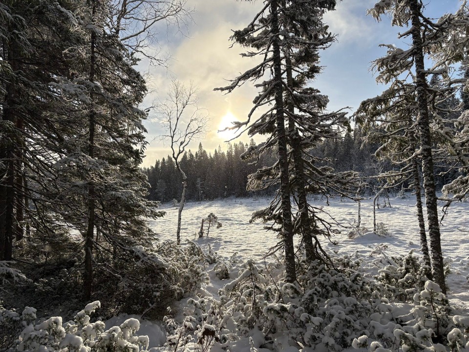 Schweden - Bjästa - 
