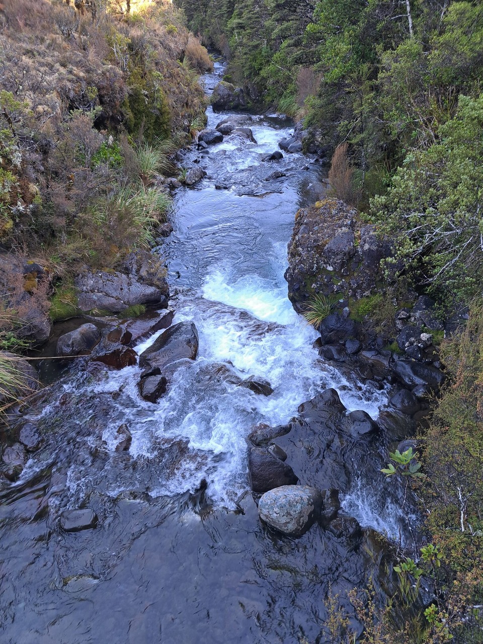 Neuseeland - National Park Village - Immer wieder Flussquerungen 