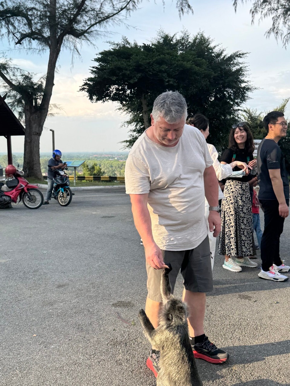 Malaysia - Kuala Lumpur - Oder Fütterung