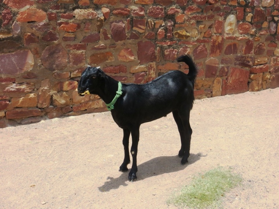 India - Fatehpur - 