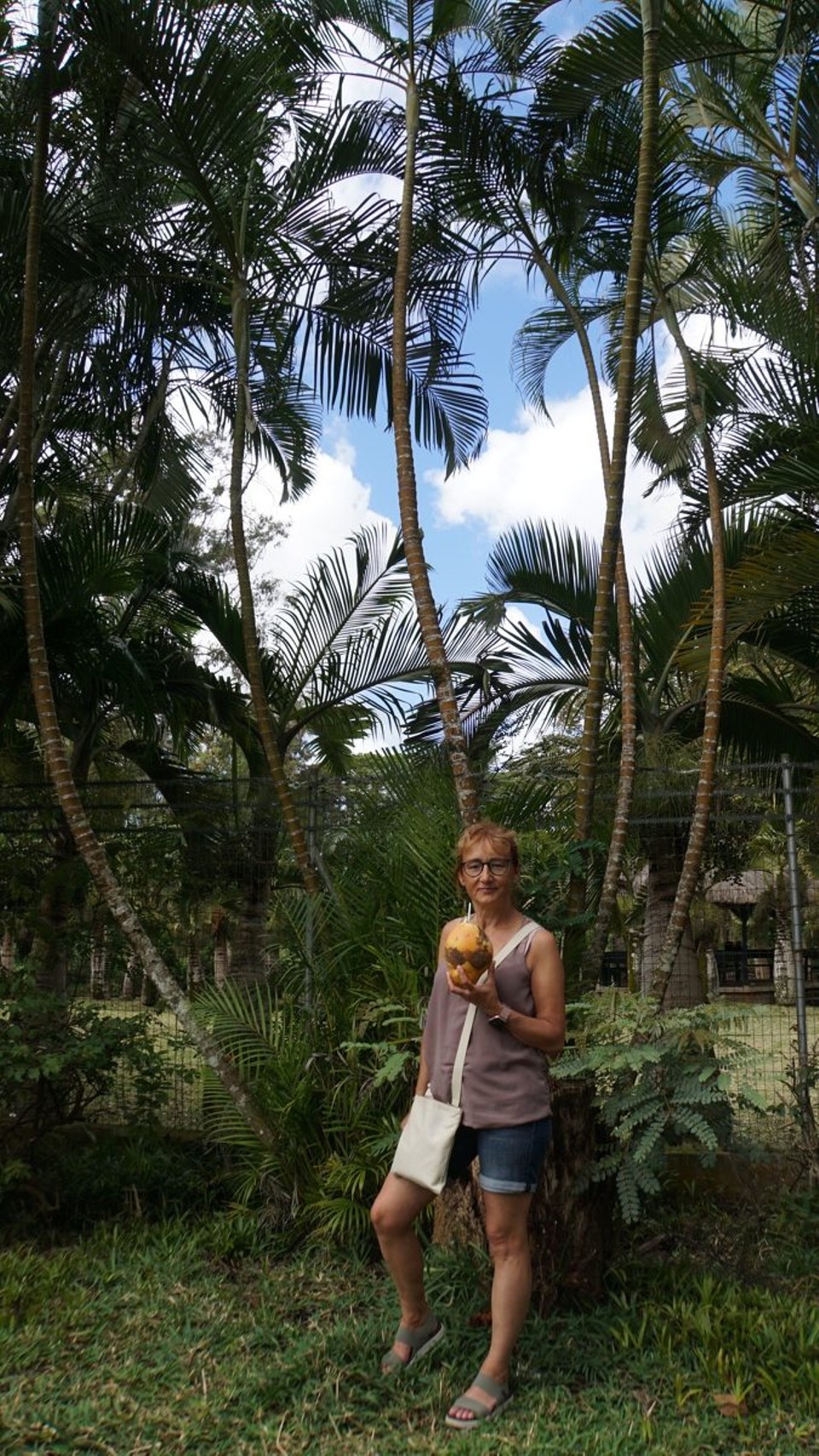 Mauritius -  - 