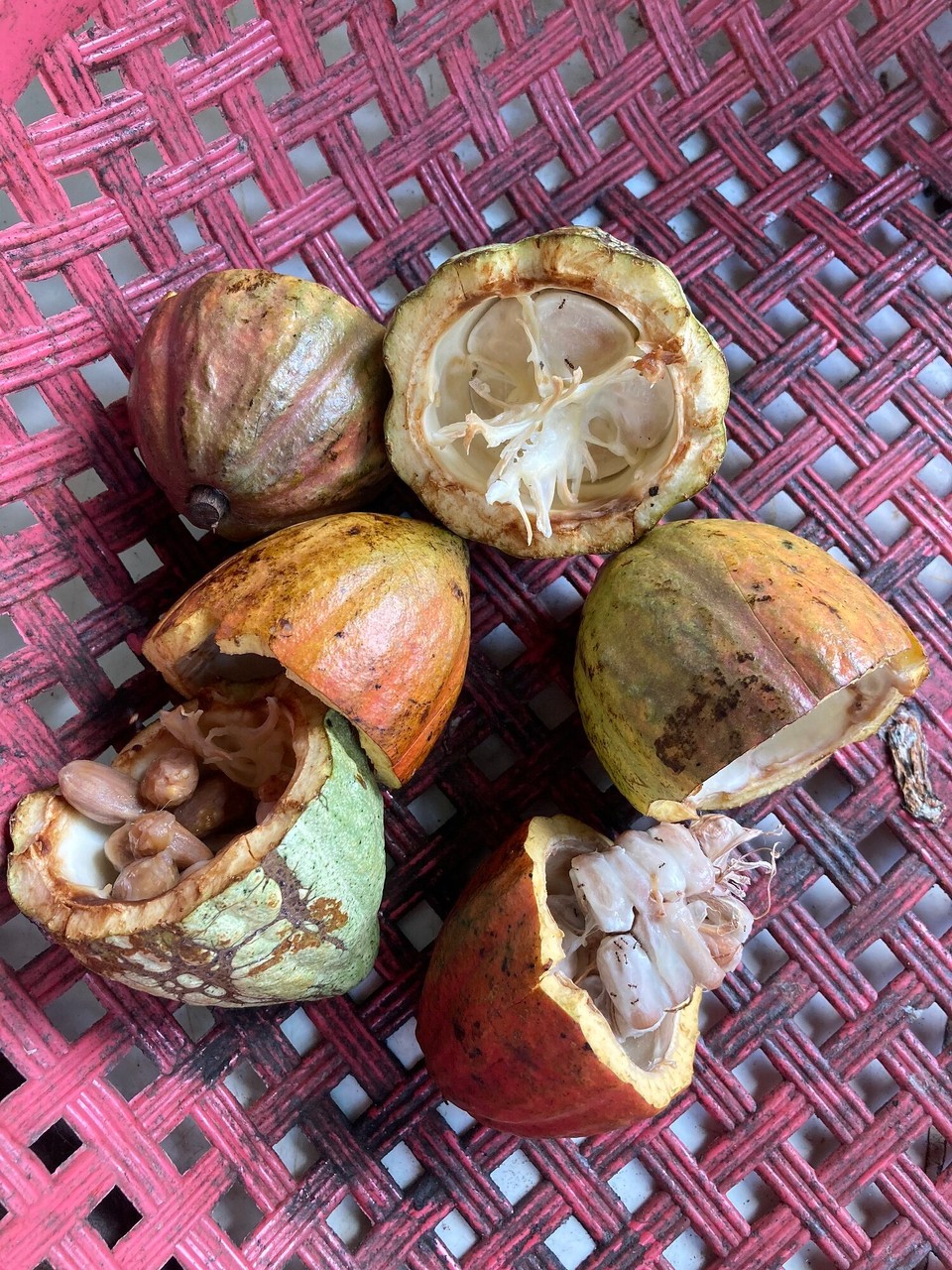 Vietnam - Can Tho - Früchte dürfen auch verkostet werden