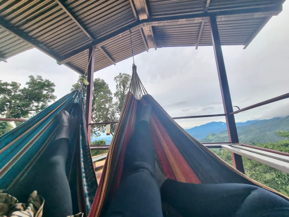 Panama -  - Den Tag ganz entspannt beginnen, die Natur um uns herum 🍃…