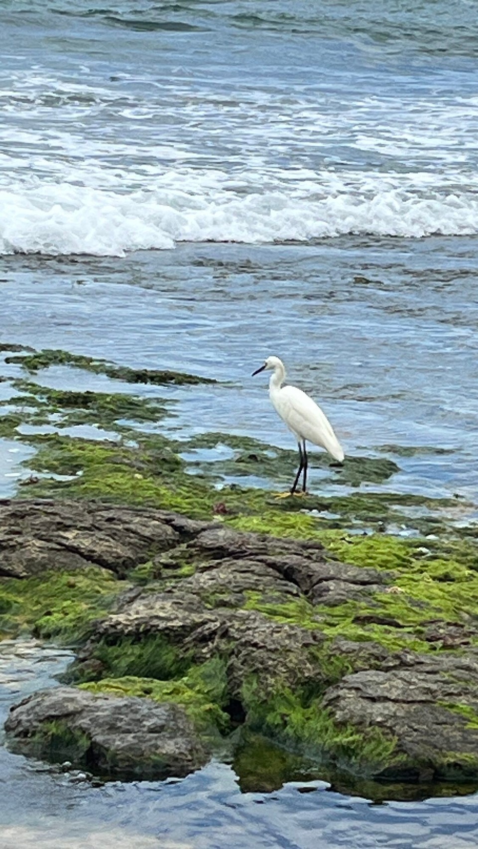 Brasilien - Salvador - 
