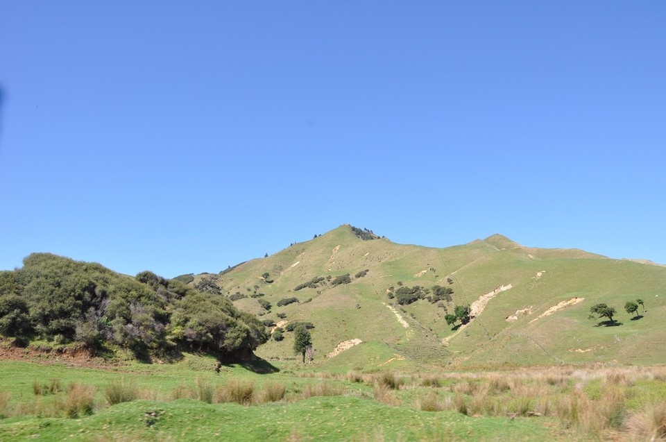 Neuseeland - New Plymouth - Berg und Tal, Meer, Tiere und, und...