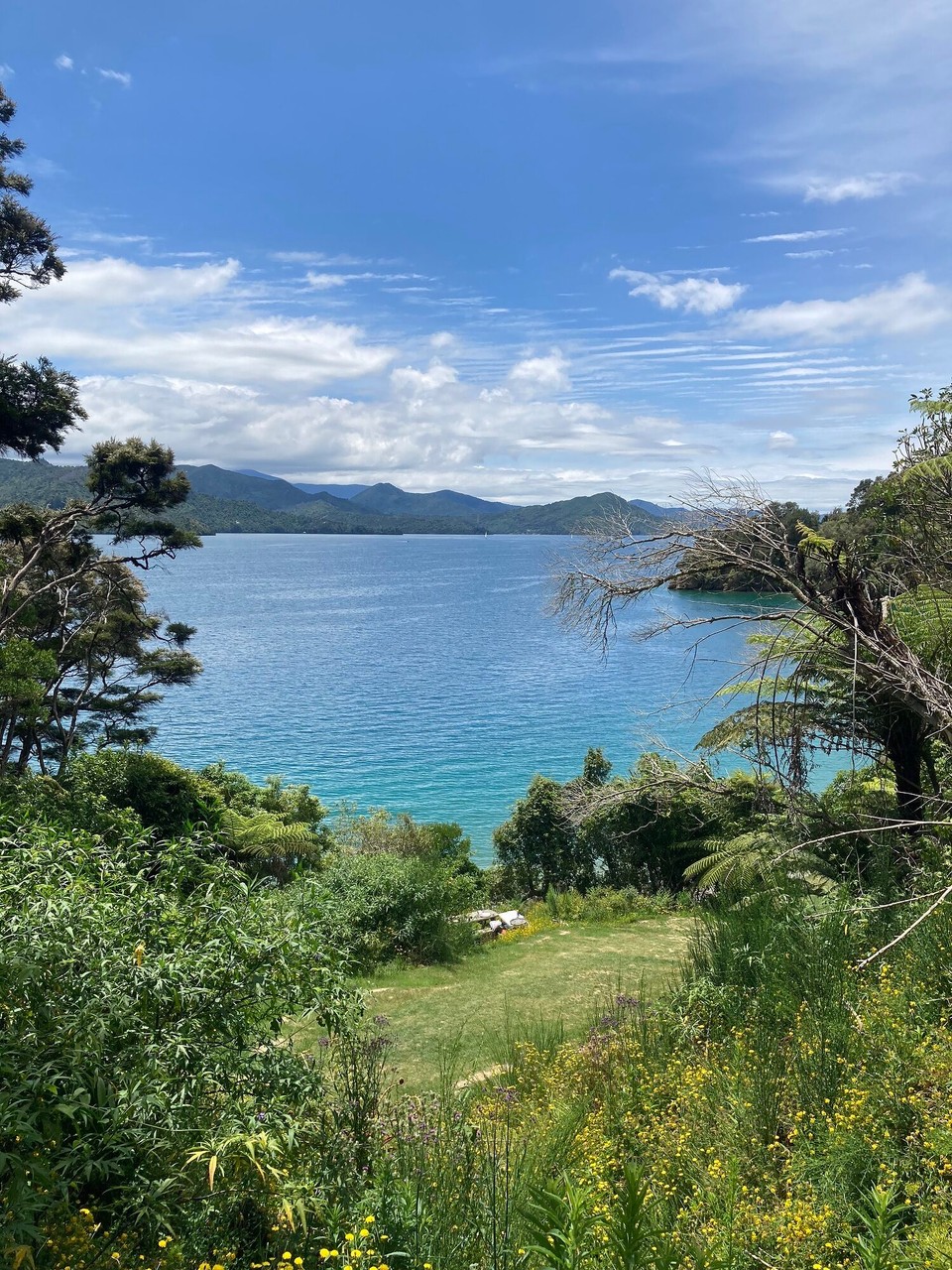 Neuseeland - Picton - Govenors Bay