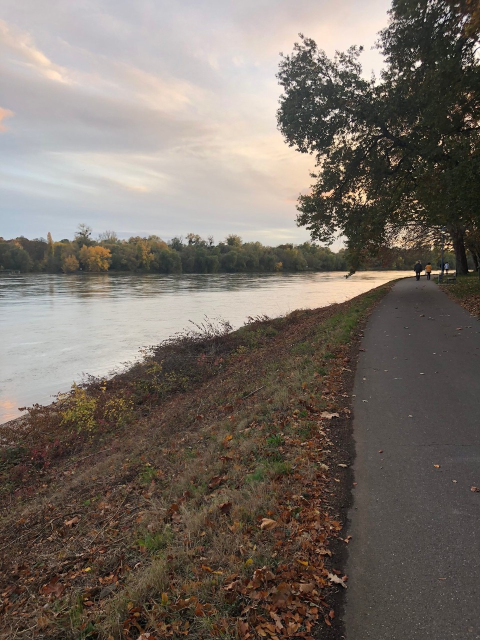 Deutschland - Ludwigshafen am Rhein - Herbststimmung am Rhein