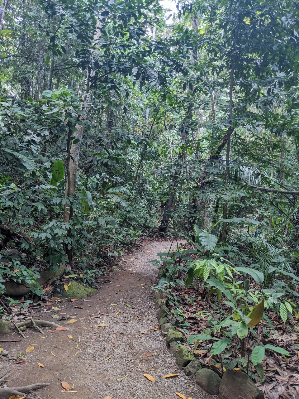 Costa Rica - Uvita - 